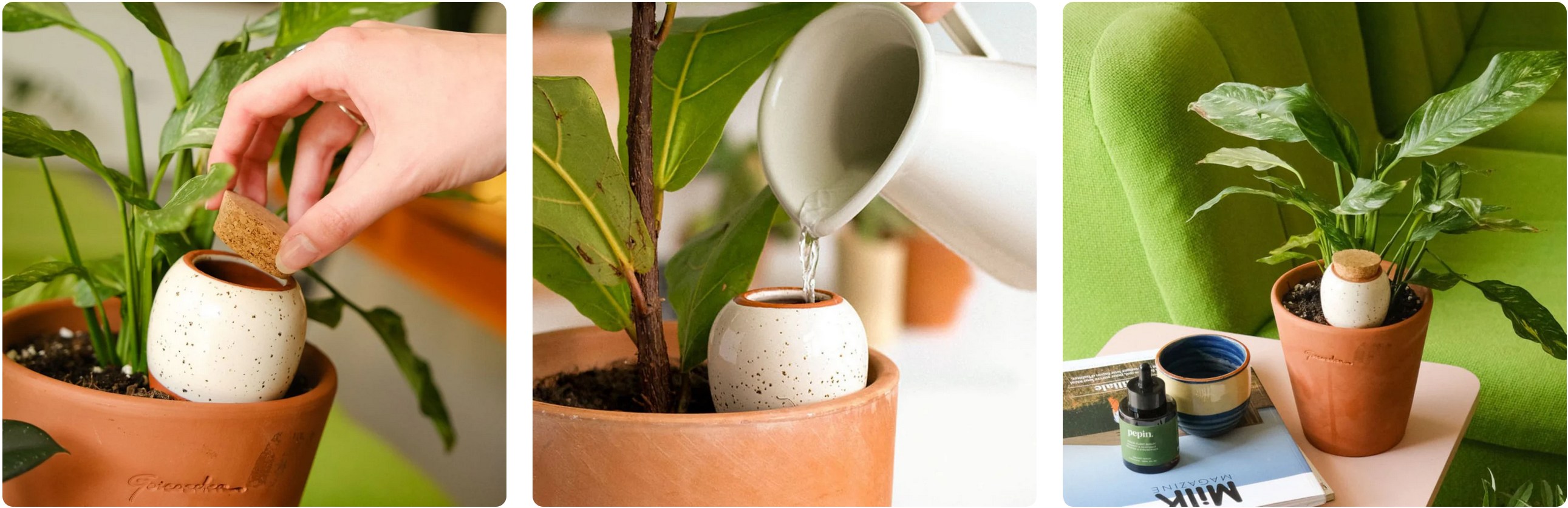 Jak pracovat s ollou